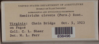 Image Associated With the Occurence